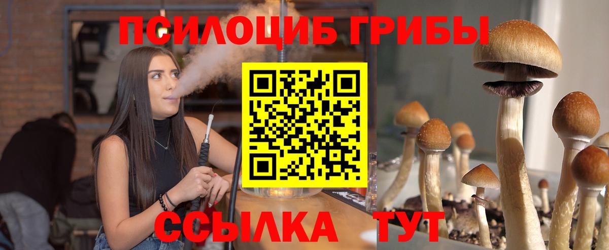 Надым  Галлюциногенные грибы мухоморы  Вход с VPN 
