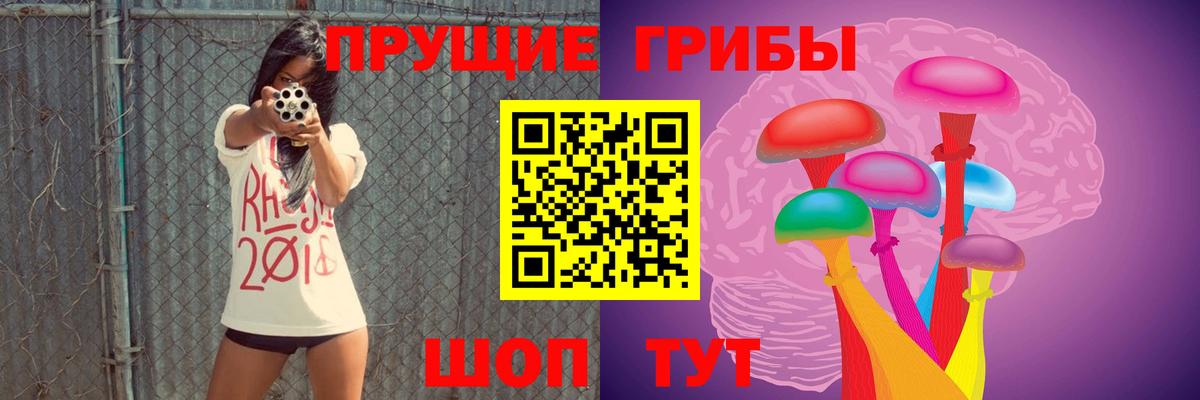 Галлюциногенные грибы Cubensis Надым